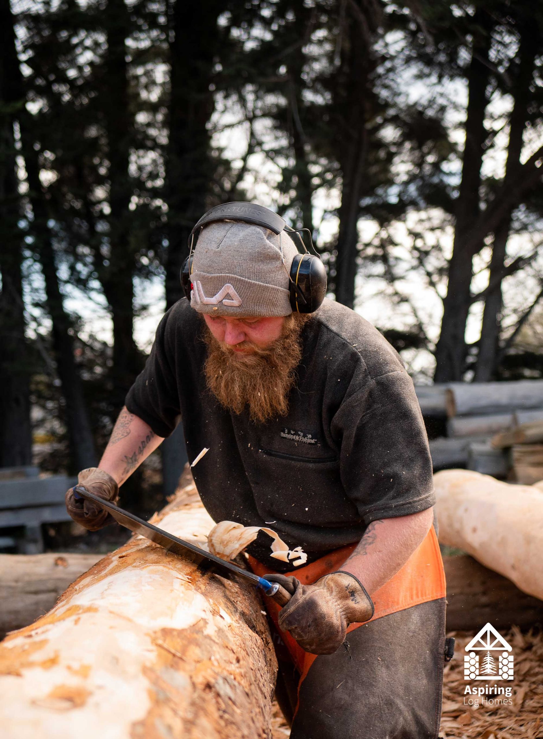 Peeling of a Log